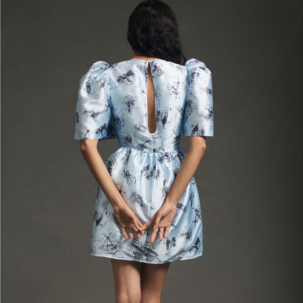 Puff Sleeve Dress - Picture 3 of 6